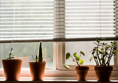 blinds installation sydney